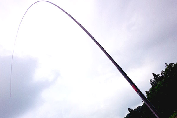 4-うかれ鯉-硬調390-13尺-銀水釣竿製作所-ヘラウキと延べ竿で鯉釣り-スパッと合わせが決まる