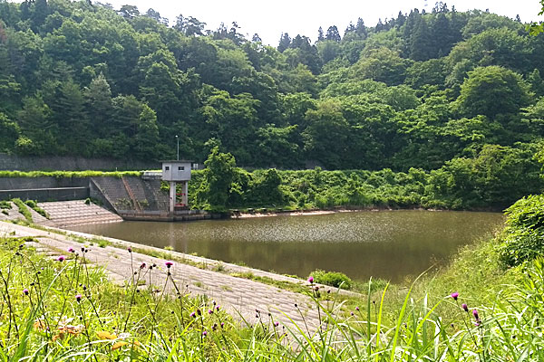 3-新潟県長岡市-黒川第四ダム-防災池-は連日のお天気続きで渇水気味